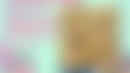 Day 11: ⭐ Starfish S'mores 🍫