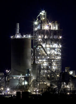 Plant at night.jpg