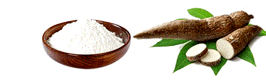Our Products