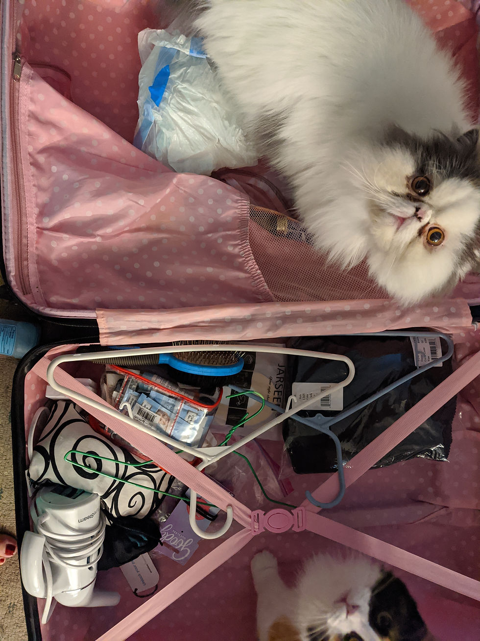 Your Essential Guide to Cosplay Convention Preparation
