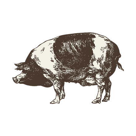 Schweizer Fleich Schwein