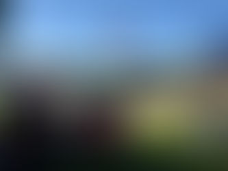 Tri-County Swim League - Week 5 Results!