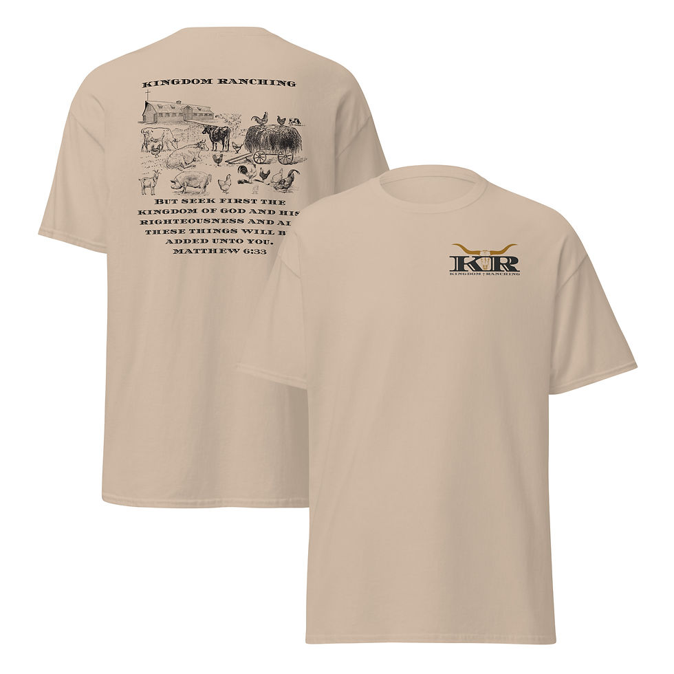 Thumbnail: Matthew 6:33