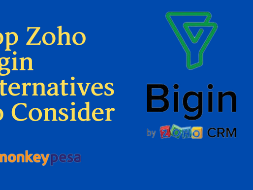 Top Zoho Bigin Alternatives To Consider