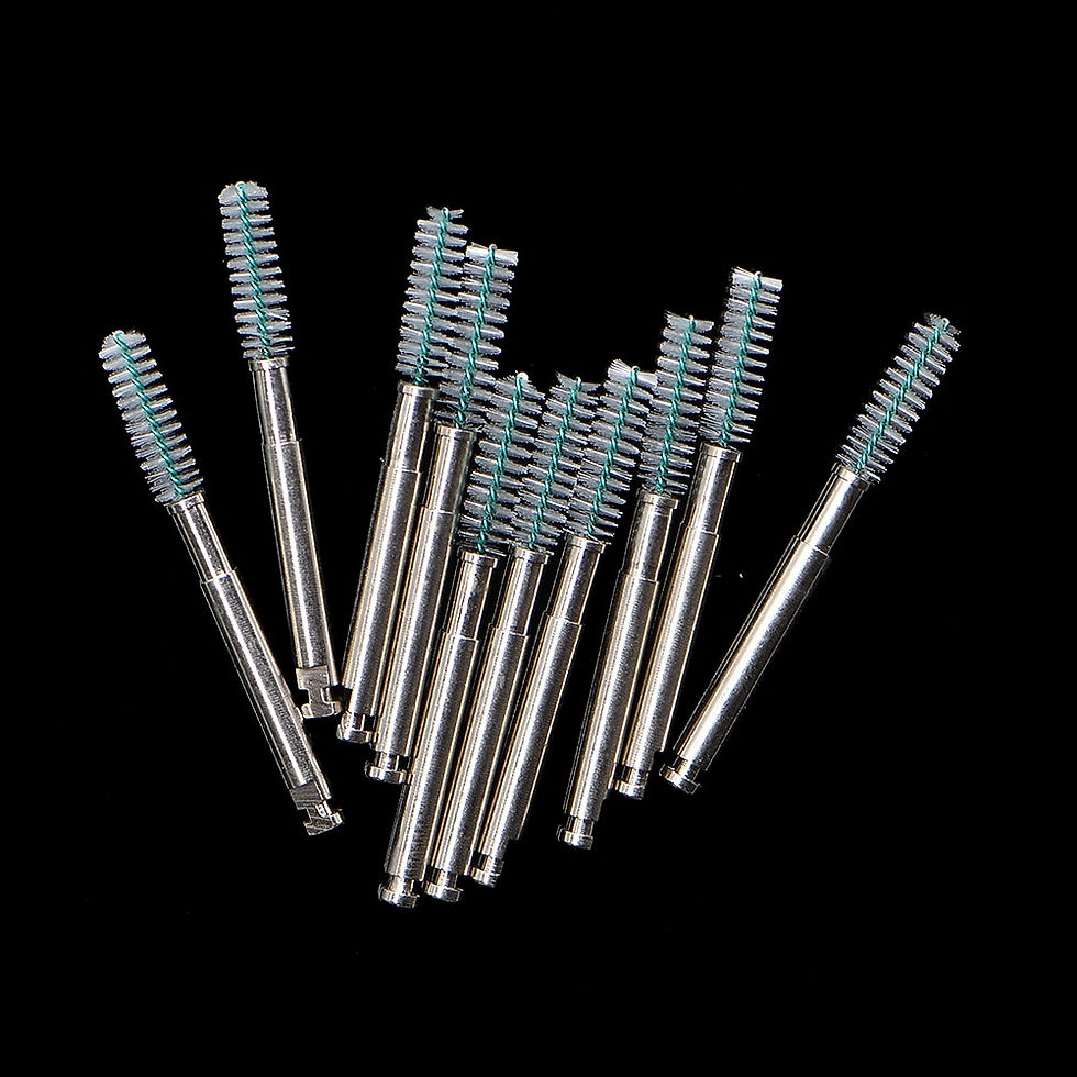 Miniaturbild: 10pcs Dental lab Root canal Cleaning Brush Clean root canal of tooth 
