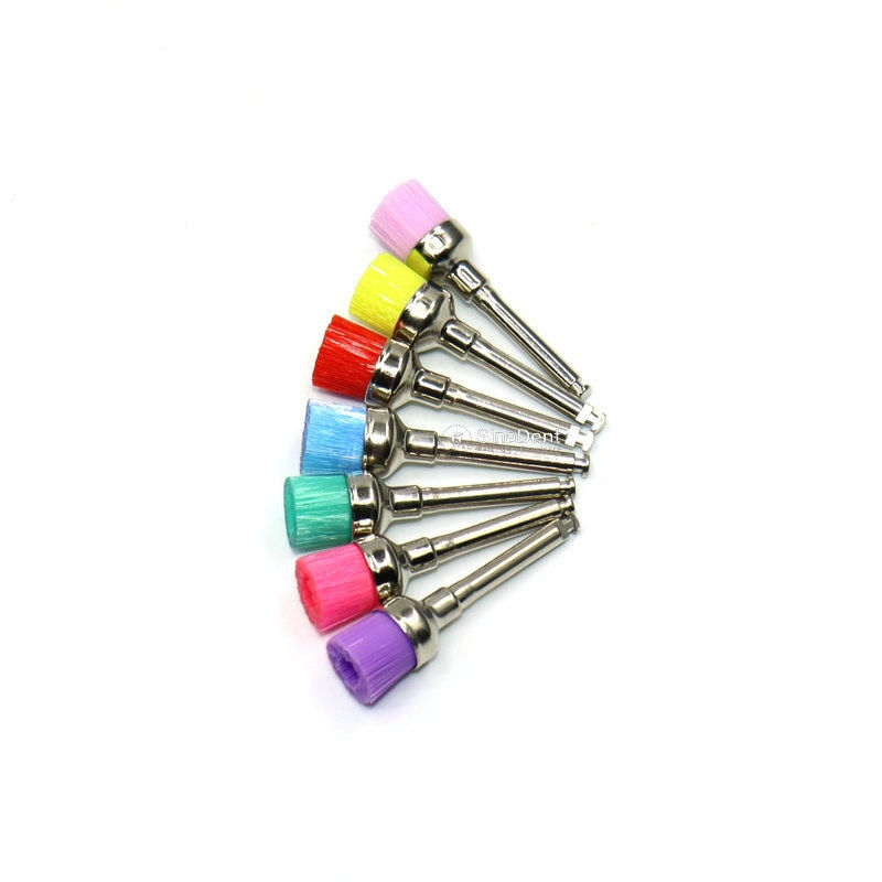 الصورة المصغرة: Dental Prophylaxis Brush, Colored Bowl Latch Type Nylon Tools Instruments 100pcs