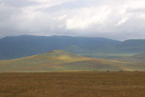 Ngorongoro Crater