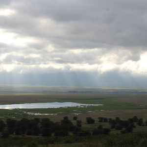 The Serengeti (Landscapes)