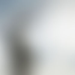 La cour de cassation se prononce sur la recevabilité des annexes au rapport d'expertise privée