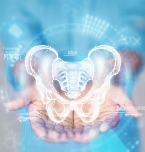 A doctor presenting the pelvic bone