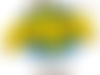 Celebrate International Mud Day at home!