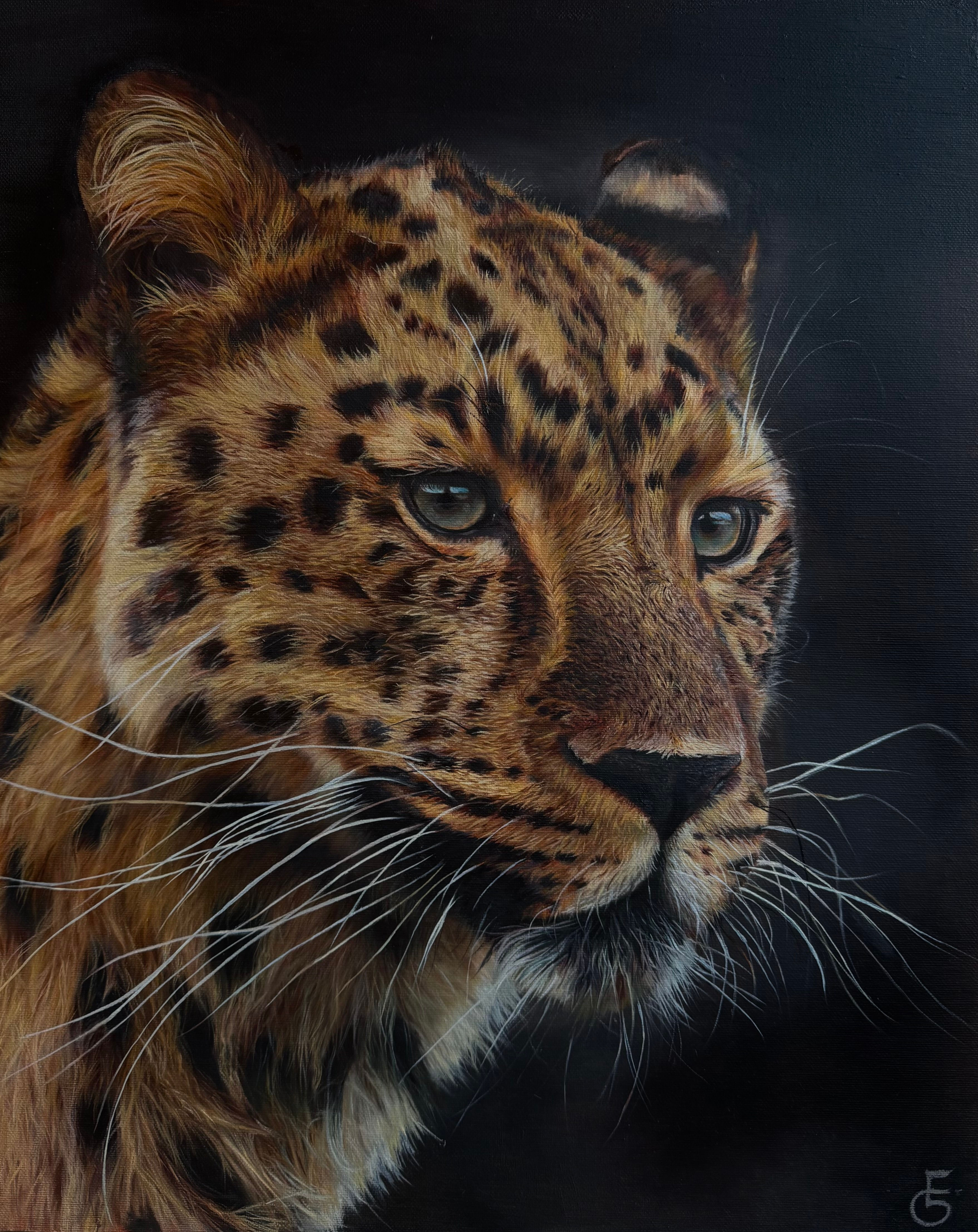 'The Leopard’s Gaze’