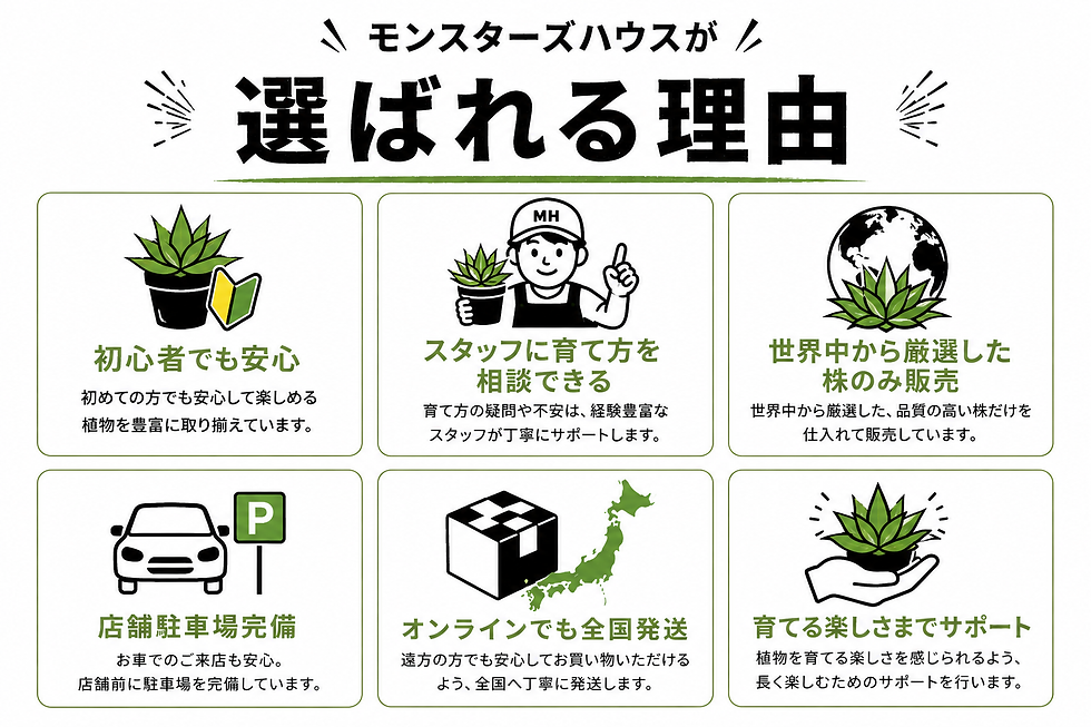 白いバナー モンスターズハウスが選ばれる理由