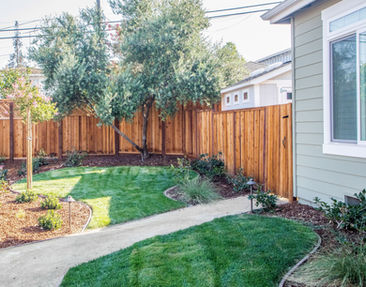 43909530664_5f29f4d638_o copy.jpg