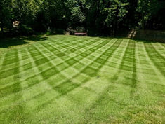 Happy Green Services - 4613398C-BAF0-4FA1-ABAB-3C4D4A8DA567.jpeg