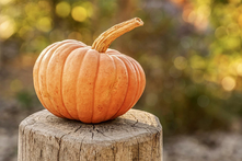 What to Do With Rotten Pumpkins After Halloween