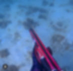 ree