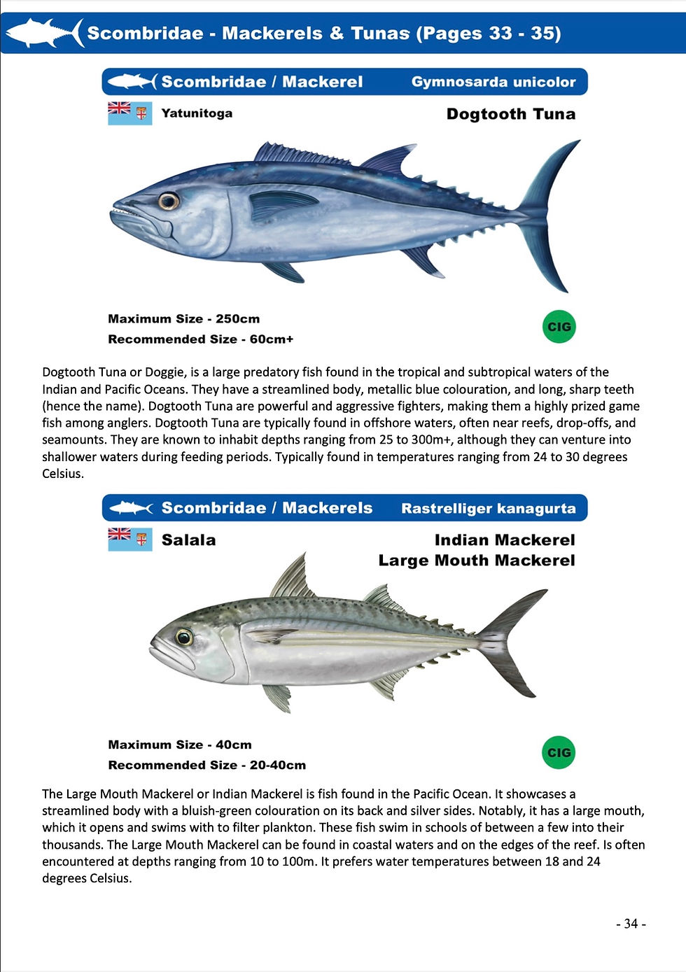 Thumbnail: Fiji Fish Identification Pocket Guide PDF