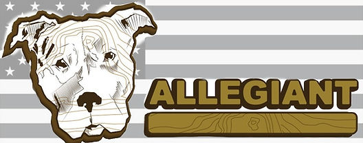 allegiant (2)_edited_edited.jpg