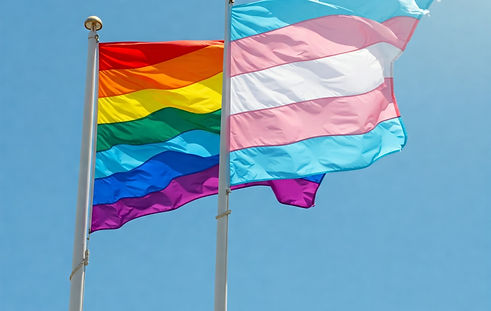 Gemini_Generated_gay and trans