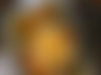 Roast Chicken and Gravy