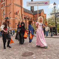 kulturernas_karneval_programomarknadkarn