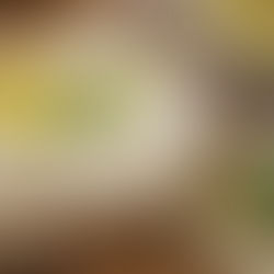 Ploščati kruh z drožmi, spečen v ponvici