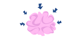 0 - cerveau.png