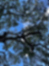 d0409fdf-6b6b-406d-ba30-703e8d1e6e29.JPG