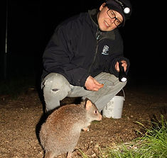 A bettong seen on a wildlife walk