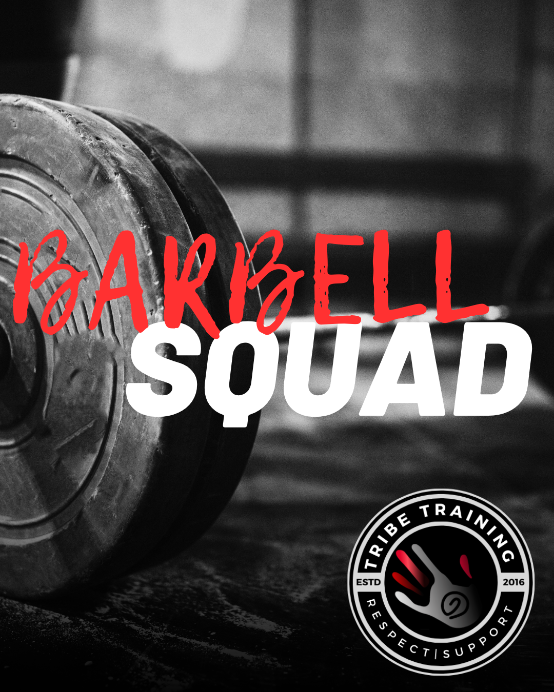 BARBELL SQUAD [Workshop]