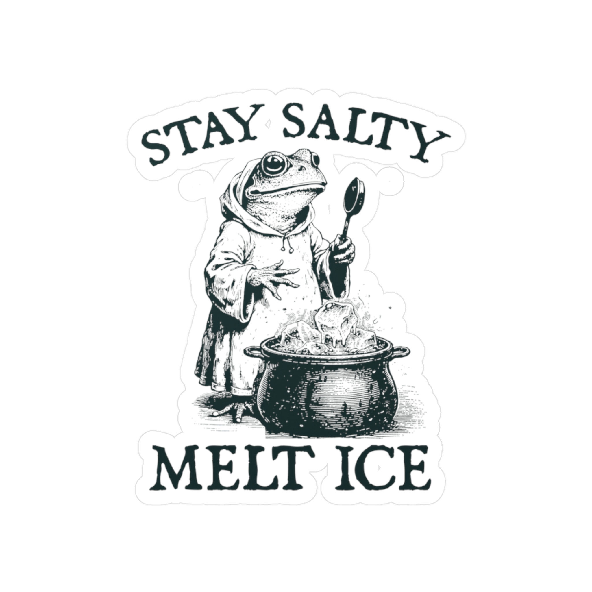 Social Justice Wizard Frog "Stay Salty. Melt Ice" Vinyl Decal