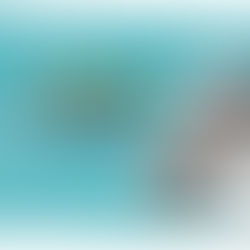 Bene News - November 2025