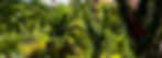 banner.jpg