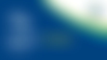 NEWSLETTER | Term 4, Week 9