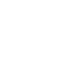 NDIS Icon