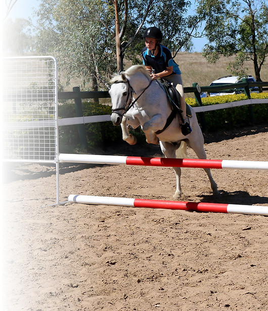 Equestrian Coach Rockhampton Queensland