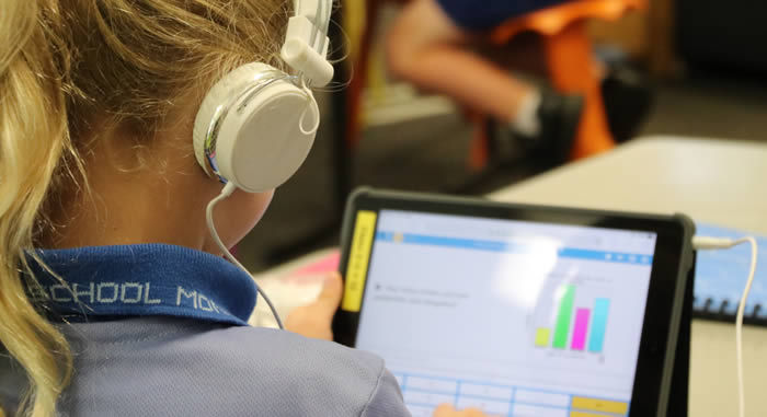 St Therese's Catholic School Monto | Prep - Year 6