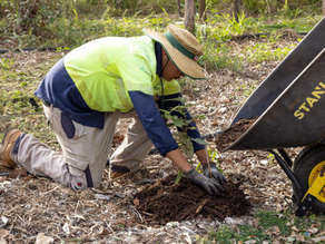 Queensland Government: Reef Assist program