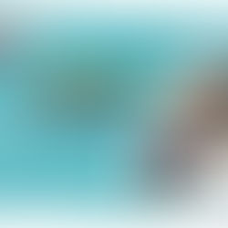 Bene News - December 2025