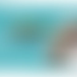 Bene News - October 2025