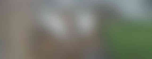 Mitcon-concrete-qld-correctional-centre-project