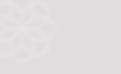 GREY HEADER BACKGROUND.jpg