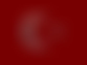 "EŞEK TÜRK"ÜN DİRENİŞİ