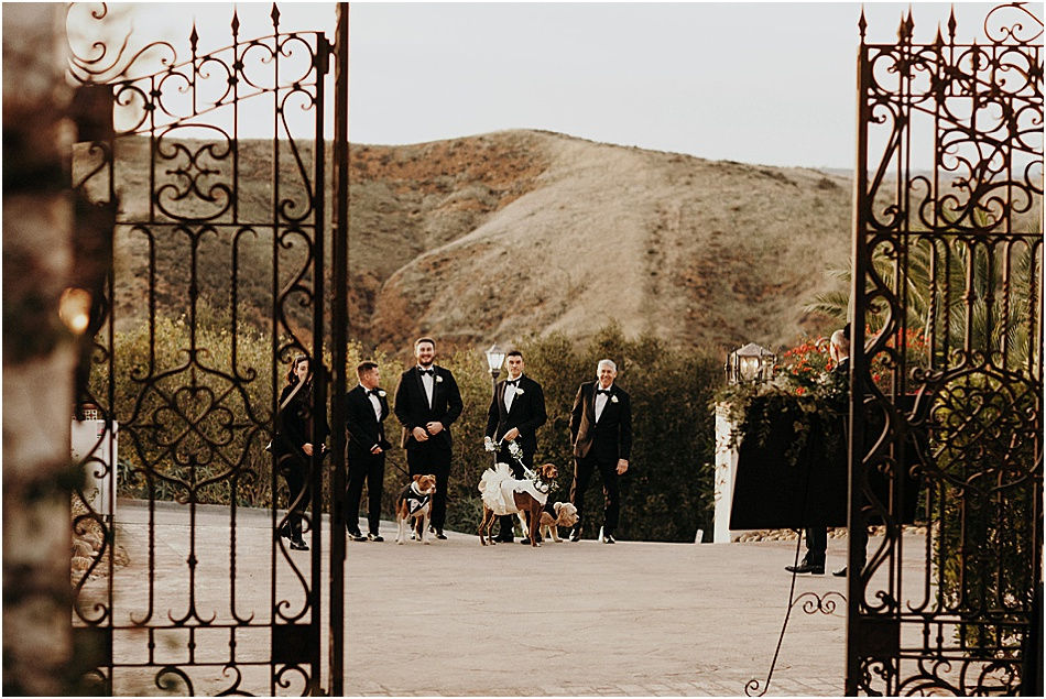 Groom & Groomsmen Entrance