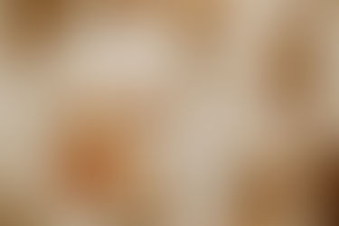 Everything You Need to Know About Wedding Save the Dates| Wedding Planning