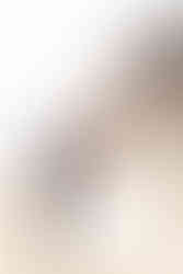 The Harris House Collective