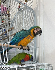 WhatsApp Image 2026-01-01 at 18.58.00.jpeg