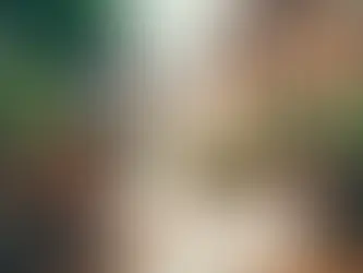 Hochdruckreinigung und Terrassenpflege in Hamburg: Ein Glanzstück von Nikita Weiß Gartenpflege und Winterdienst