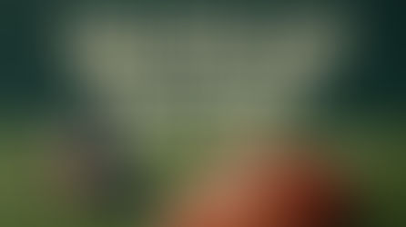 Article image and title text